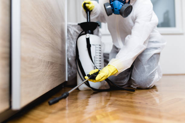 Flea Control Services in Oak Ridge, NJ