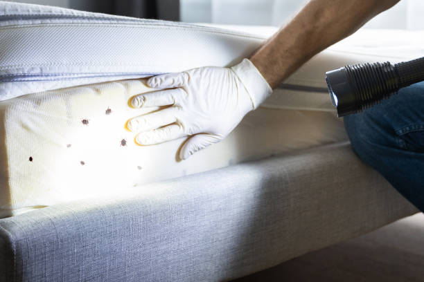 Best Mosquito Control Services  in Oak Ridge, NJ