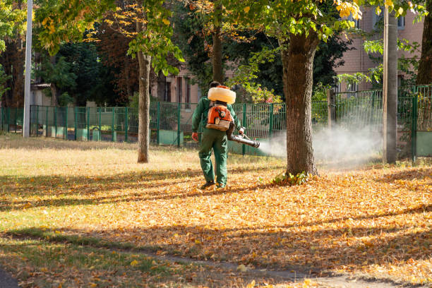 Best Cockroach Control Services  in Oak Ridge, NJ