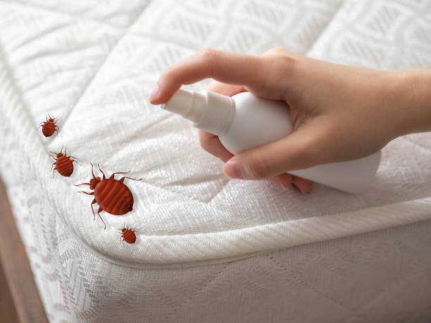 Best Commercial Pest Control Services  in Oak Ridge, NJ