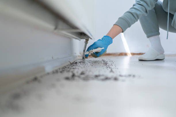 Best Wasp Removal Services  in Oak Ridge, NJ